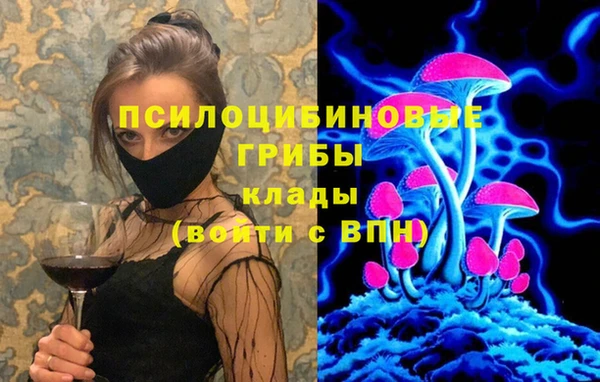 бутират Белокуриха
