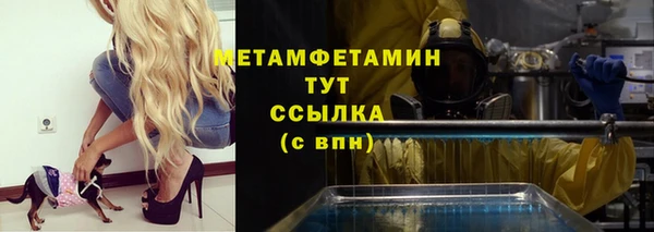 молекула духа Богданович