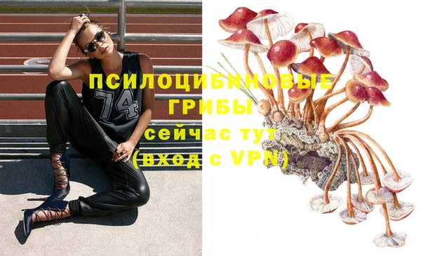 СК Беломорск