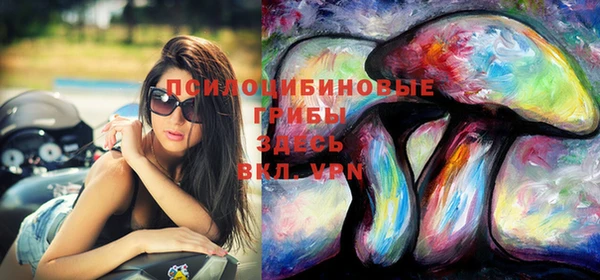 молекула духа Богданович