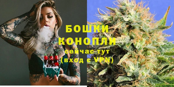 бутират Белокуриха