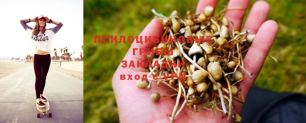 амфетамин Богородицк